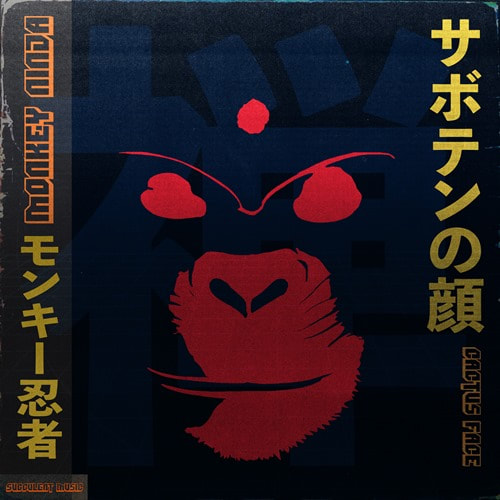 28/06/2024
New single from Cactus Face "Monkey Ninja"